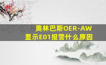 奥林巴斯OER-AW 显示E01报警什么原因